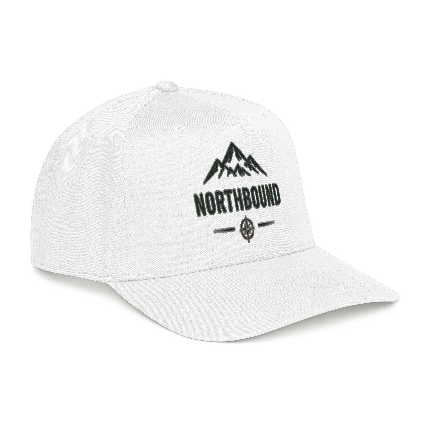 Classic Northbound Baseball Cap